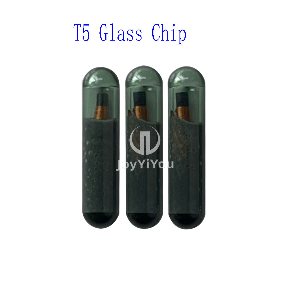 T5-20 Glass Transponder Chip